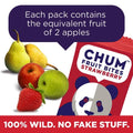 Chum Fruit Bites 100% Real Fruit Snacks - Strawberry, 12-Pack | Non-GMO, No Added Sugar or Preservatives | Top 12 Allergen and School Friendly, Nut-Free, Gluten-Free, Vegan, Kosher, Paleo