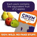 Chum Fruit Bites 100% Real Fruit Snacks - Strawberry, 12-Pack | Non-GMO, No Added Sugar or Preservatives | Top 12 Allergen and School Friendly, Nut-Free, Gluten-Free, Vegan, Kosher, Paleo