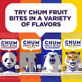 Chum Fruit Bites 100% Real Fruit Snacks - Strawberry, 12-Pack | Non-GMO, No Added Sugar or Preservatives | Top 12 Allergen and School Friendly, Nut-Free, Gluten-Free, Vegan, Kosher, Paleo